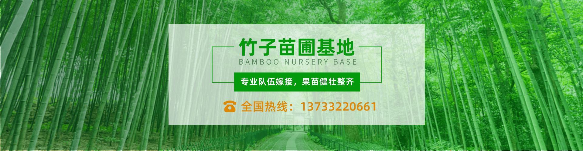 公司简介